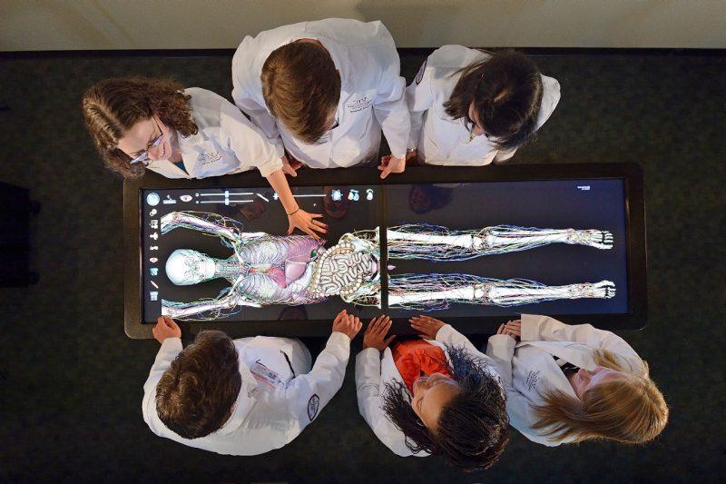 医学生站在解剖台上.